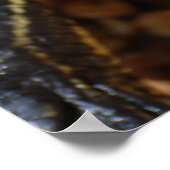 Schildpad met mond open Poster (Hoek)