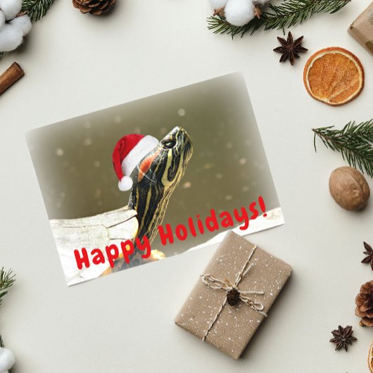 Schildpad met rode Santa Pet Funny Feestdagen Kaart