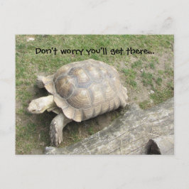 Schildpad met spreuk briefkaart