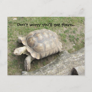 Schildpad met spreuk briefkaart