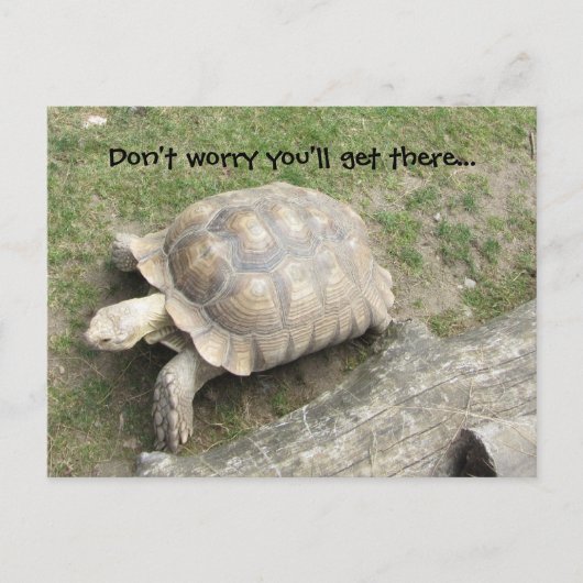 Schildpad met spreuk briefkaart (Voorkant)
