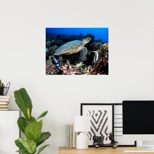 Schildpad met visPoster Poster (Thuiskantoor)