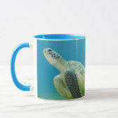 Schildpad Mok (Links)