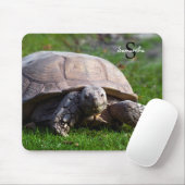 Schildpad Muismat (Met muis)