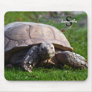 Schildpad Muismat
