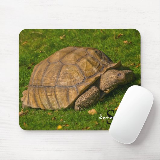 Schildpad Muismat (Met muis)