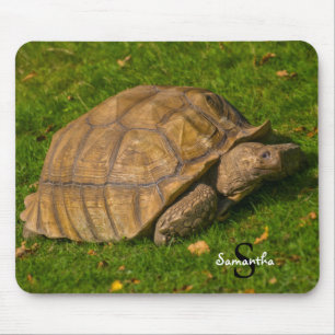 Schildpad Muismat