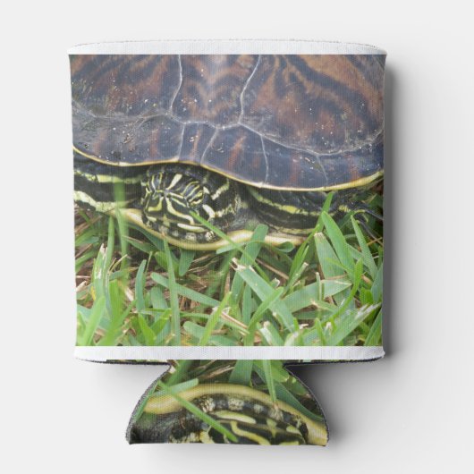 Schildpad naar de schelp blikjeskoeler (Achterkant)