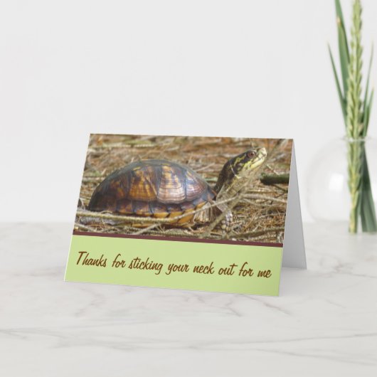 Schildpad - nek uit kaart (Voorkant)