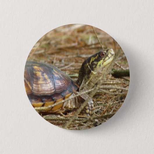 Schildpad - nek uit ronde button 5,7 cm (Voorkant)