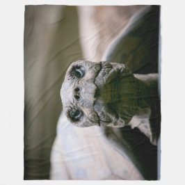 SCHILDPAD of E.T.? Fleece Deken