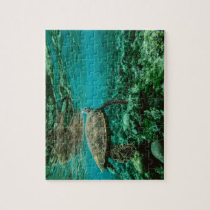 Schildpad onder water, oceaanpuzzel legpuzzel