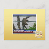 Schildpad ontvluchten briefkaart (Voorkant)