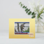 Schildpad ontvluchten briefkaart (Staand voorkant)