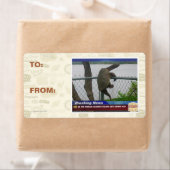 Schildpad ontvluchten etiket (Insitu)