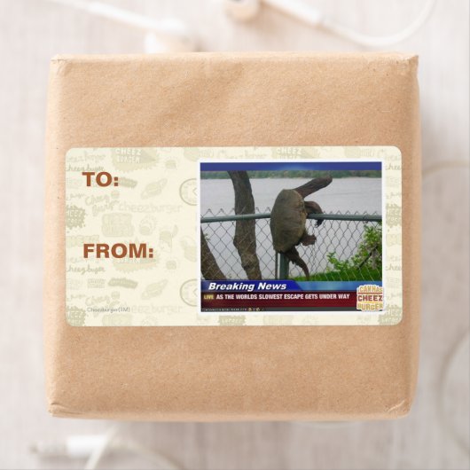 Schildpad ontvluchten etiket (Insitu)