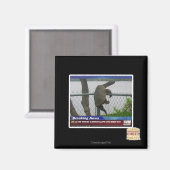 Schildpad ontvluchten magneet (Voorkant / Achterkant)