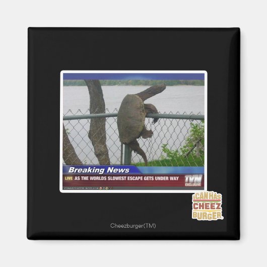 Schildpad ontvluchten magneet (Voorkant)