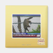 Schildpad ontvluchten magneet (Voorkant)