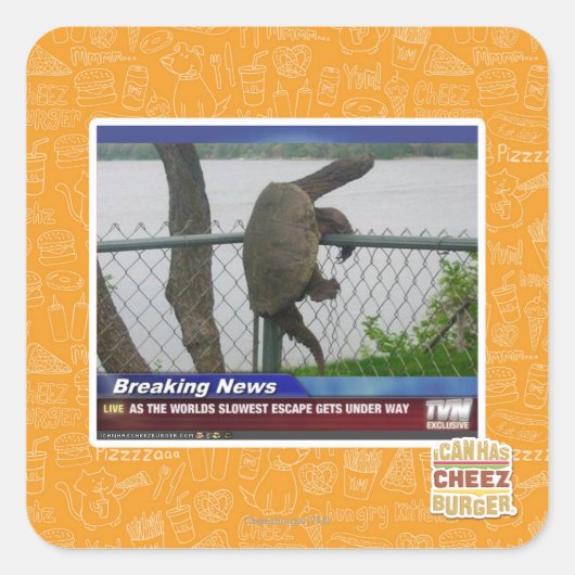 Schildpad ontvluchten vierkante sticker (Voorkant)