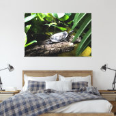 Schildpad op een stam canvas afdruk (Insitu (Slaapkamer))