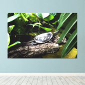 Schildpad op een stam canvas afdruk (Insitu (Houten vloer))