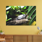 Schildpad op een stam canvas afdruk (Insitu (Woonkamer))