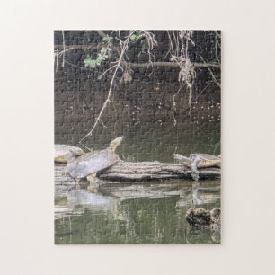 Schildpad op een stam legpuzzel