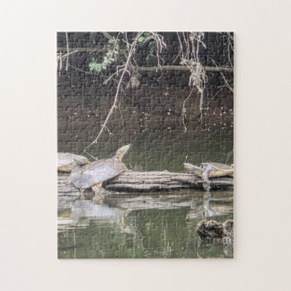 Schildpad op een stam legpuzzel