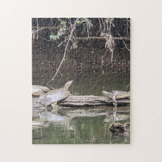 Schildpad op een stam legpuzzel (Verticaal)