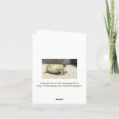 "SCHILDPAD OP ZIJN RUG GEDRAAID" GOED KAART (Achterkant)