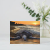 schildpad op zonsondergang briefkaart (Staand voorkant)