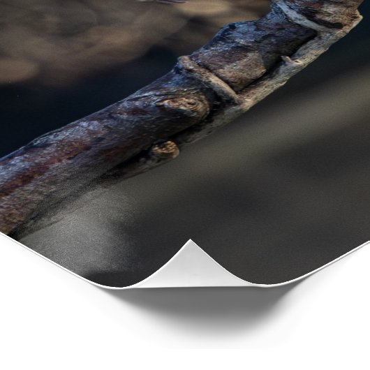 Schildpad Perfect Poster (Hoek)