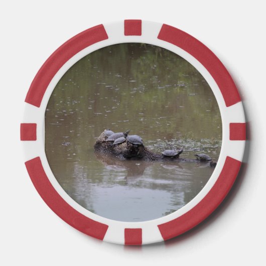 Schildpad Poker Chips (Voorkant)