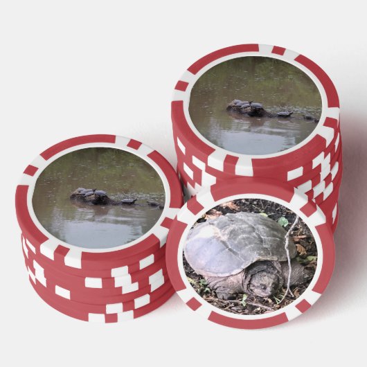 Schildpad Poker Chips (Opstapeling)