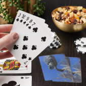 Schildpad Poker Deck (Insitu)