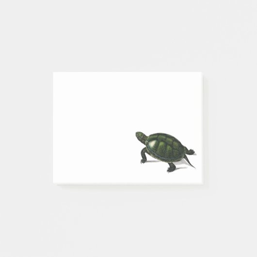  schildpad post-it® notes (Voorkant)