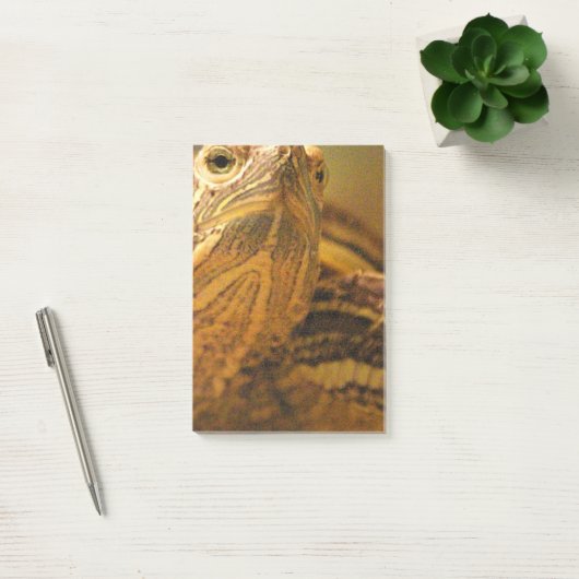 Schildpad Post-it® Notes (Kantoor)