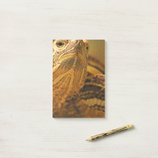 Schildpad Post-it® Notes (Op bureau)