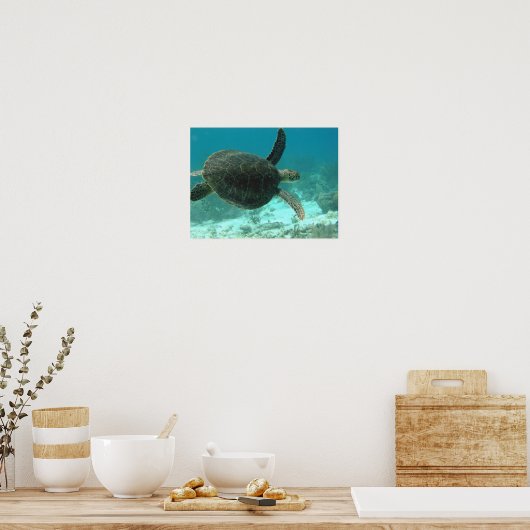 Schildpad Poster (Keuken)