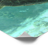 Schildpad Poster (Hoek)