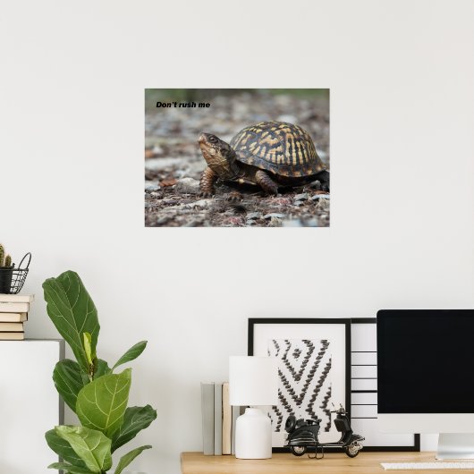 Schildpad Poster (Thuiskantoor)