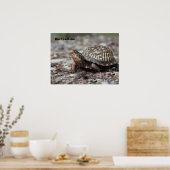 Schildpad Poster (Keuken)