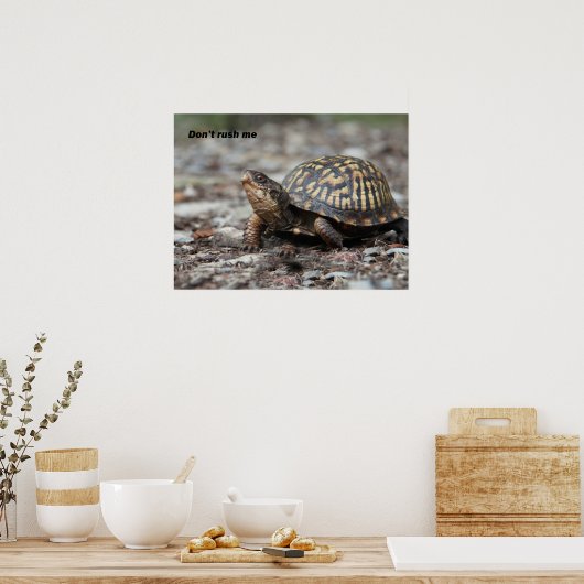Schildpad Poster (Keuken)