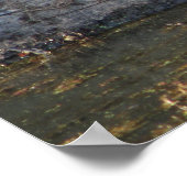 Schildpad Poster (Hoek)