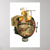 Schildpad Poster (Voorkant)