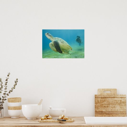 Schildpad Poster (Keuken)
