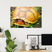 Schildpad Poster (Thuiskantoor)