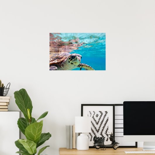 Schildpad Poster (Thuiskantoor)