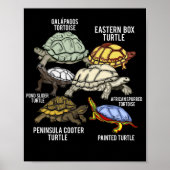 Schildpad rassen Galapagos schildpad soorten schil Poster (Voorkant)